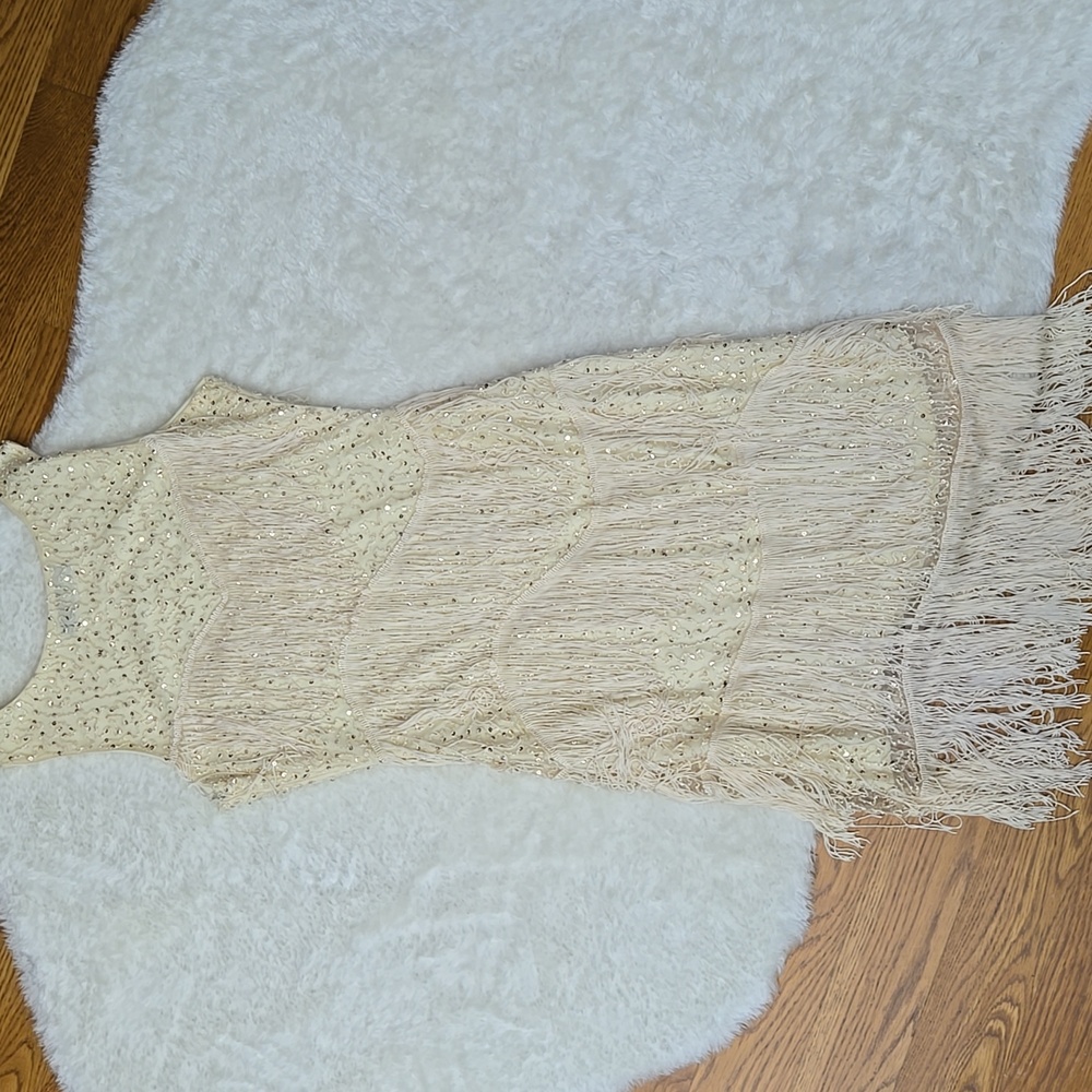 Elegant Cream Fringe Dress - Picture 12 of 12